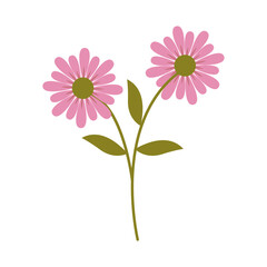 Flat Illustration of Spring Flower. Isolated on White Background. Vector Cartoon Illustration