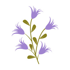 Flat Illustration of Spring Flower. Isolated on White Background. Vector Cartoon Illustration