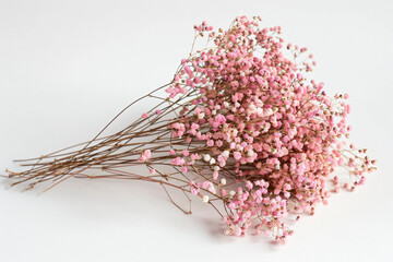 Fototapeta premium a bunch of pink flowers on a white surface