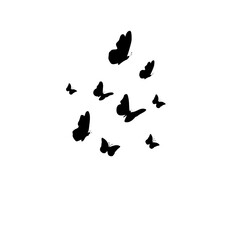 Flying butterflies silhouettes. Flock of butterflies on white background. Vector design element.