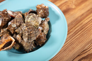 Cleaned conch on a plate