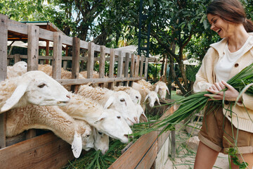 A woman holding a bunch of green grass in front of some sheep in a pen