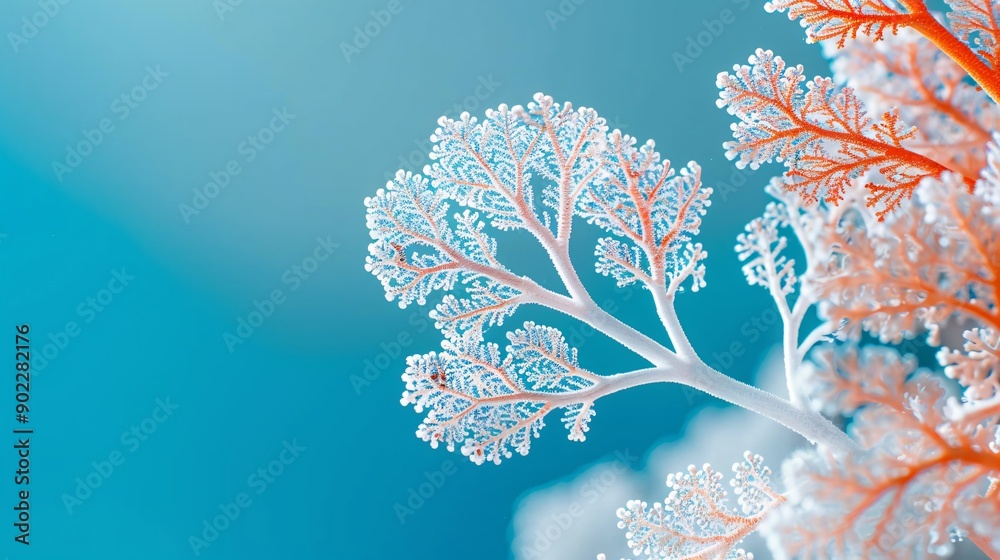 Poster close-up of bleached coral reefs underwater with vibrant marine life contrasting against the pale co