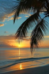 Palm Tree Silhouette at Sunset on Tropical Beach