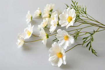 a bunch of white flowers on a table