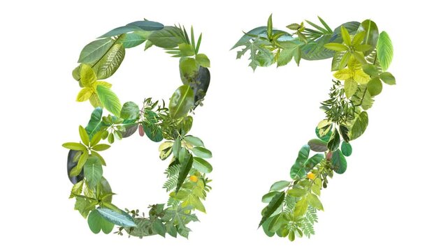 87, the number is formed from the arrangement of fallen leaves, suitable for birthday, anniversary and memorial day templates	
