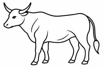 Bull line art vector illustration	