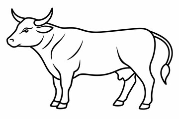 Bull line art vector illustration	