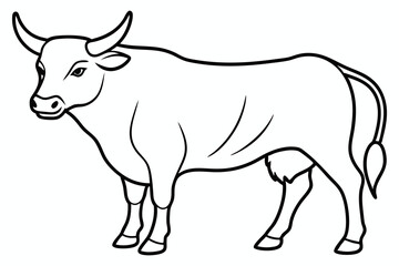 Bull line art vector illustration	