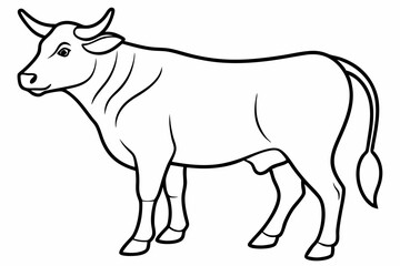 Bull line art vector illustration	