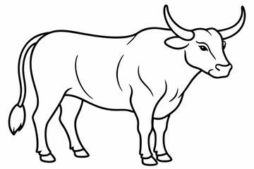 Bull line art vector illustration	