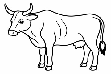 Bull line art vector illustration	