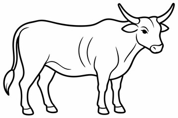 Bull line art vector illustration	