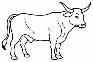 Bull line art vector illustration	