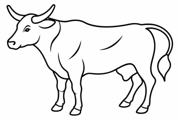 Bull line art vector illustration	
