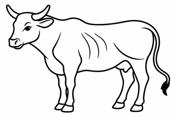 Bull line art vector illustration	