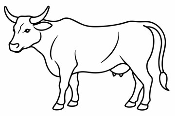 Bull line art vector illustration	