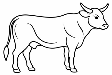 Bull line art vector illustration	