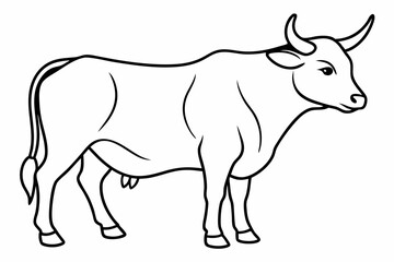 Bull line art vector illustration	