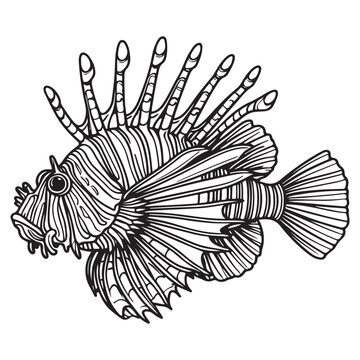 recommend clip art: Line art of lionfish vector