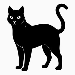 Burmilla Black silhouette