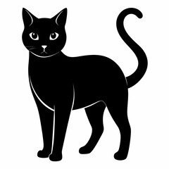 Burmilla Black silhouette