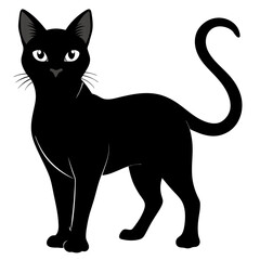 Burmilla Black silhouette