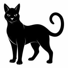 Burmilla Black silhouette