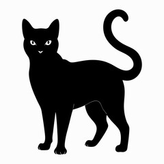 Burmilla Black silhouette