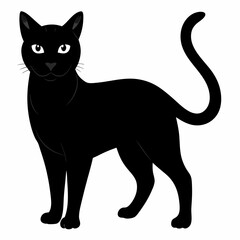 Burmilla Black silhouette