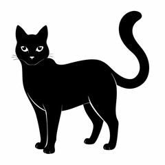 Burmilla Black silhouette