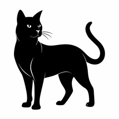 Burmilla Black silhouette
