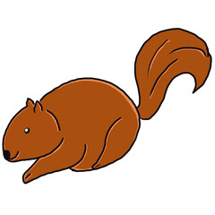 Squirrel