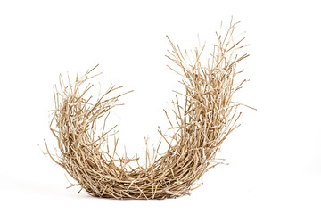 Dried Grass Nest