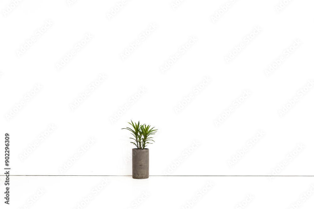 Poster Minimalist Green Plant in a Grey Pot Against White Background