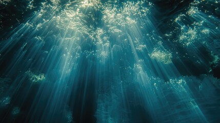 Sunlight filtering through forest trees