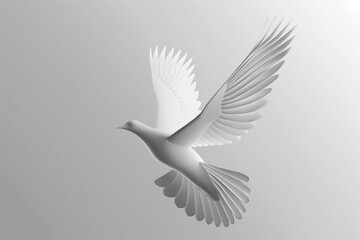 Obraz premium White bird in flight