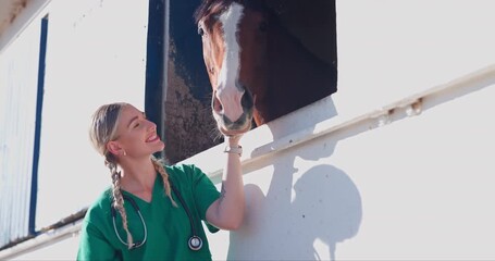 Nurse, woman and horse with health at farm with kiss, care and happy for helping with love. Doctor, veterinary person and equine animal with stroke, kindness or wellness at countryside ranch in Texas