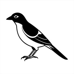 Cute bird icon illustration