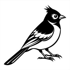 Cute bird icon illustration