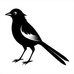 Fototapeta premium Cute bird icon illustration