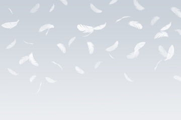 Abstract Many White Bird Feathers Falling in The Air. Softness of Feathers. Feather on Gray Background.	

