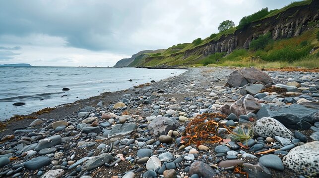 A stony beach by Pakri Peninsula features a rugged and natural landscape, characterized by an expanse of smooth, rounded stones interspersed with larger boulders.