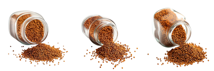 Set of A glass jar of mustard seeds with some seeds spilled isolated on transparent background