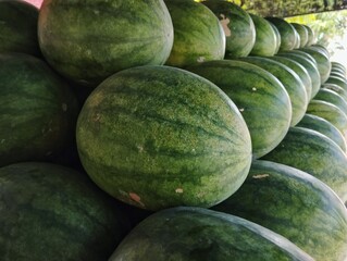 Pile of watermelon 