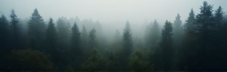 Ultrawide, Misty forest landscape from sky.