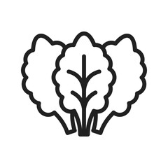 Lettuce  icon vector image. Suitable for mobile application web application and print media.
