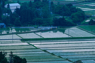 水田と列車