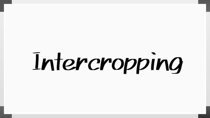 Intercropping のホワイトボード風イラスト