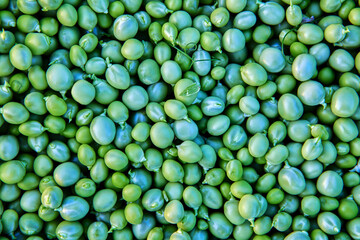 Green seeds of sweet garden peas without pods, husked peas, texture for background.